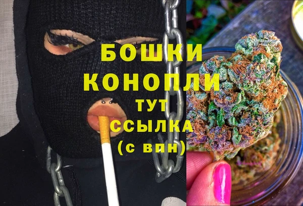 индика Верея